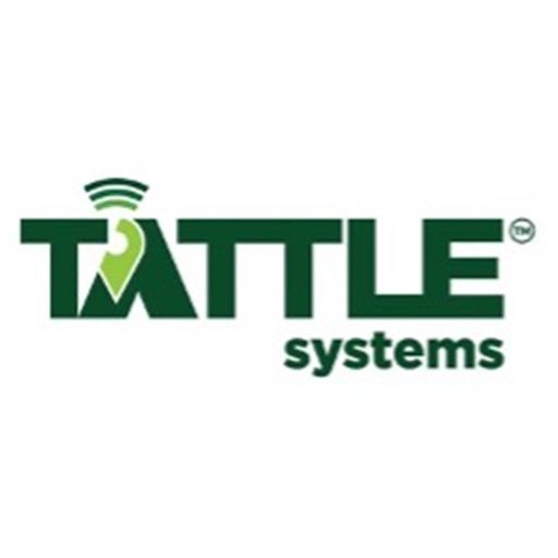 website icon