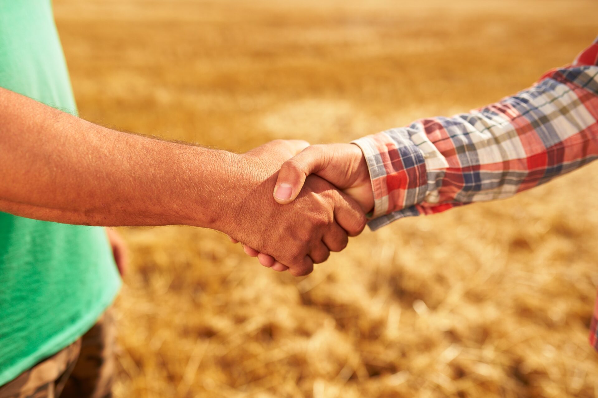 Farmer and agronomist silhouettes shaking hands standing in a wheat field after agreement in dusk
