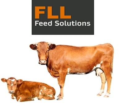 Friesen Livestock Ltd. -Renegade Beef Mineral Premixes