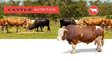 Friesen Livestock Ltd. Bweiss Mineral
