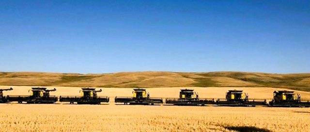 Combines lined up in a field